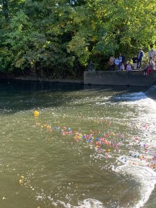 Cranford Rubber Ducky Race at Sperry Park Cranford Rubber Ducky Race at Sperry Park